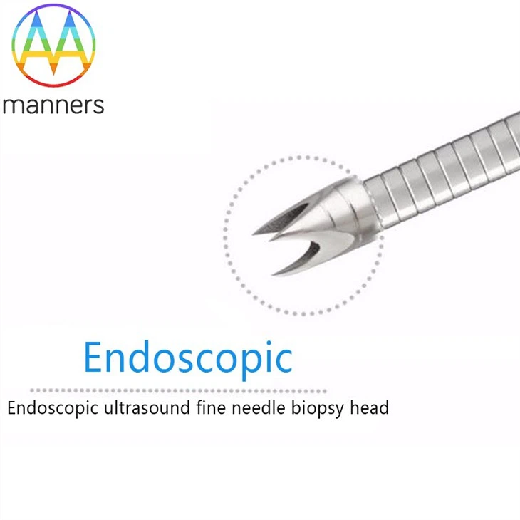 Endoscopic Ultrasound Needle For Fine Needle Biopsy